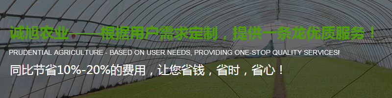 陜西溫室大棚生產(chǎn)廠(chǎng)家